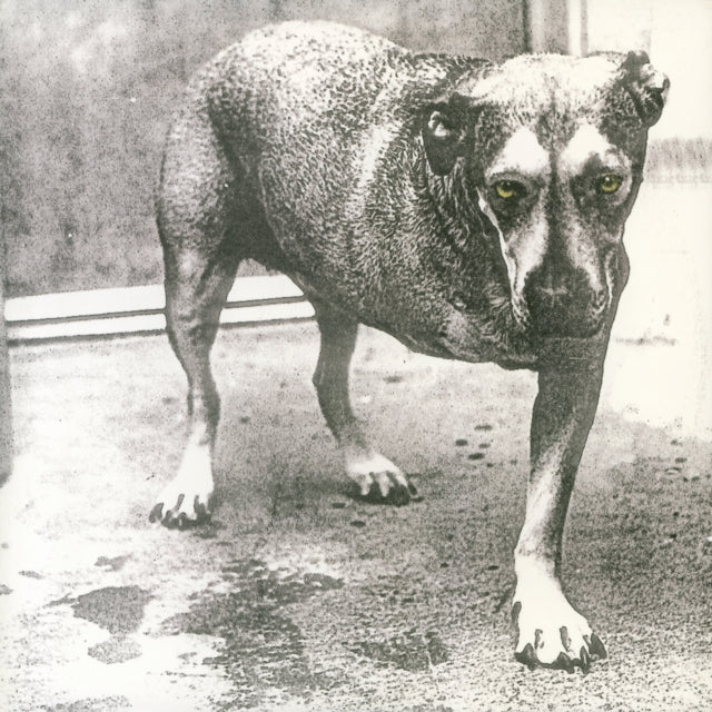 Alice In Chains - 2LP (30th Anniversary -Yellow Vinyl)